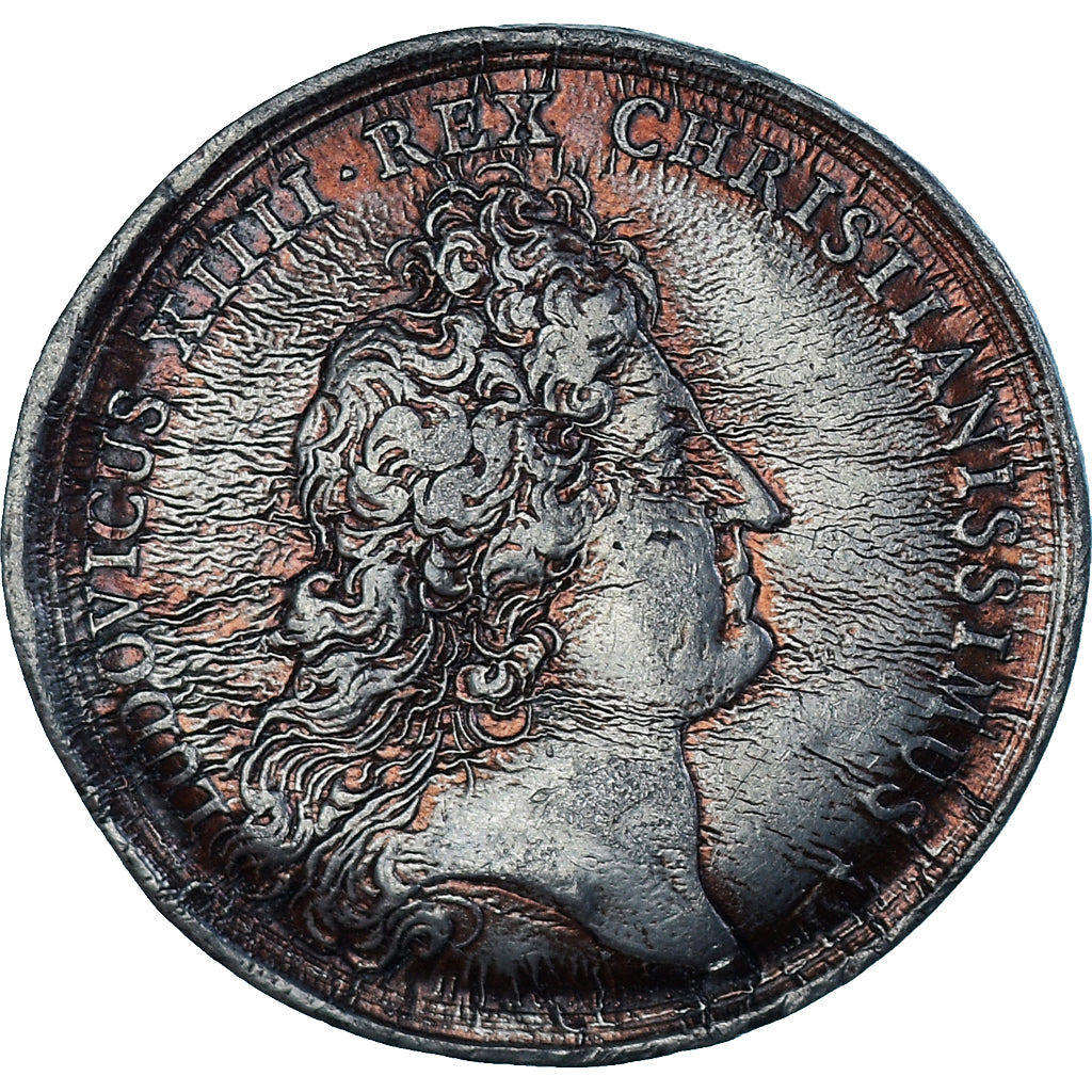 France, Medal, Ludovicus XIIII, History, EF(40-45), Tin-Zinc