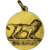 Frankreich, Medaille, RE Leone - QVIA SUM LEO, Fauna, VZ, Gilt Bronze