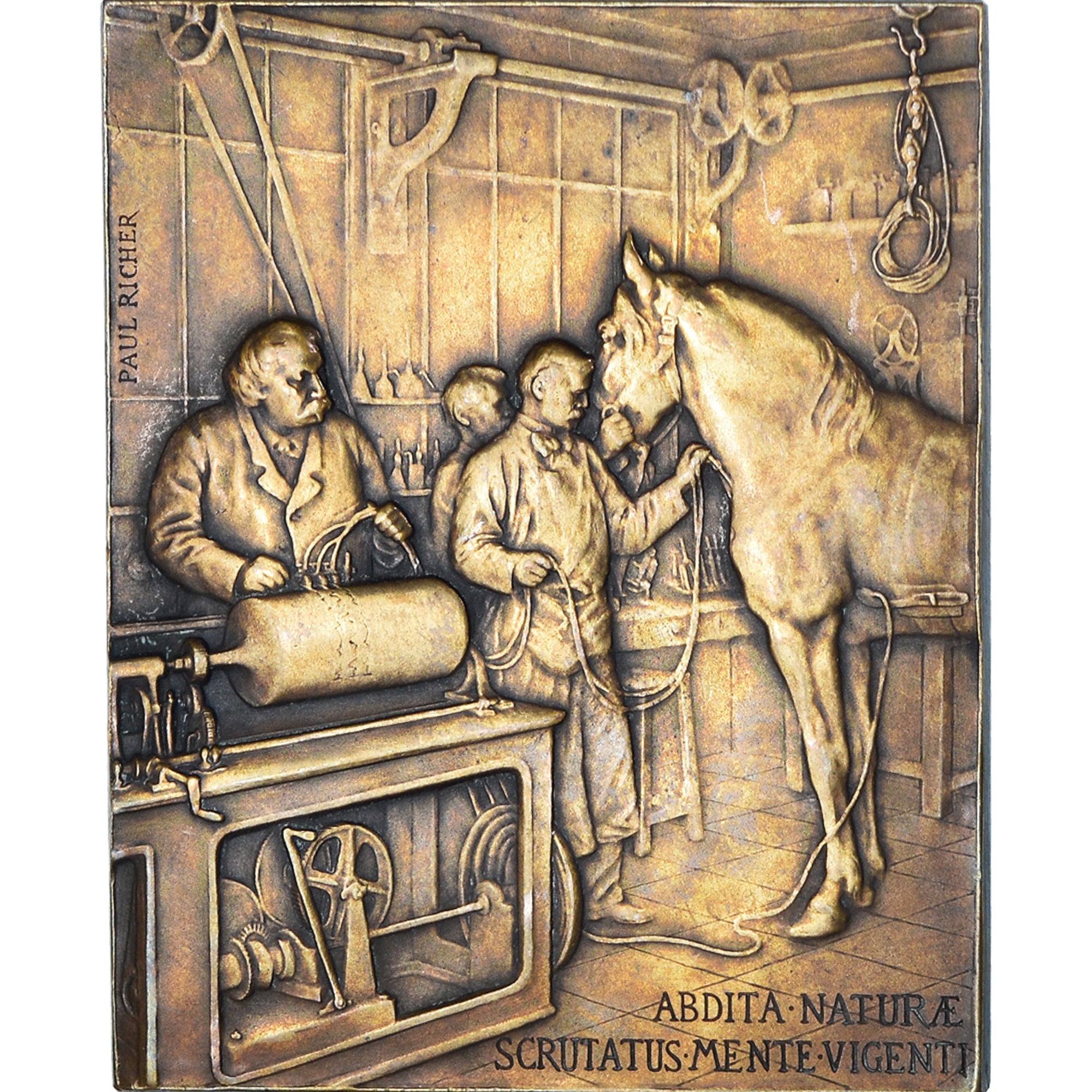 França, medalha, Chauveau - Vétérinaire et cheval, Fauna, Paul Richer