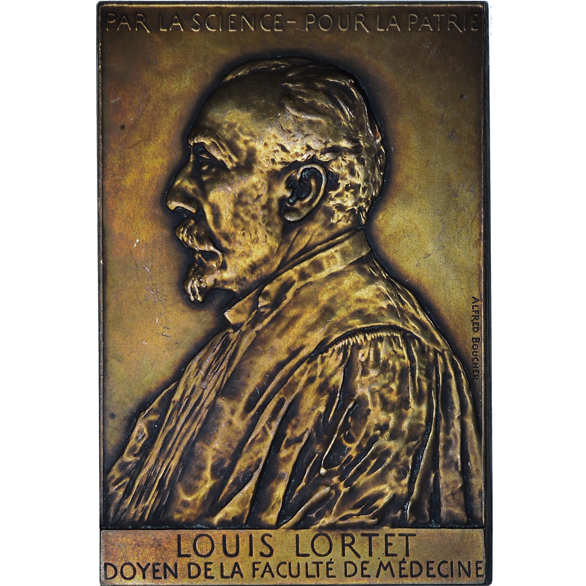 Francja, medal, Médecine, Louis Lortet, Lyon, 1902, Boucher, AU(50-53)