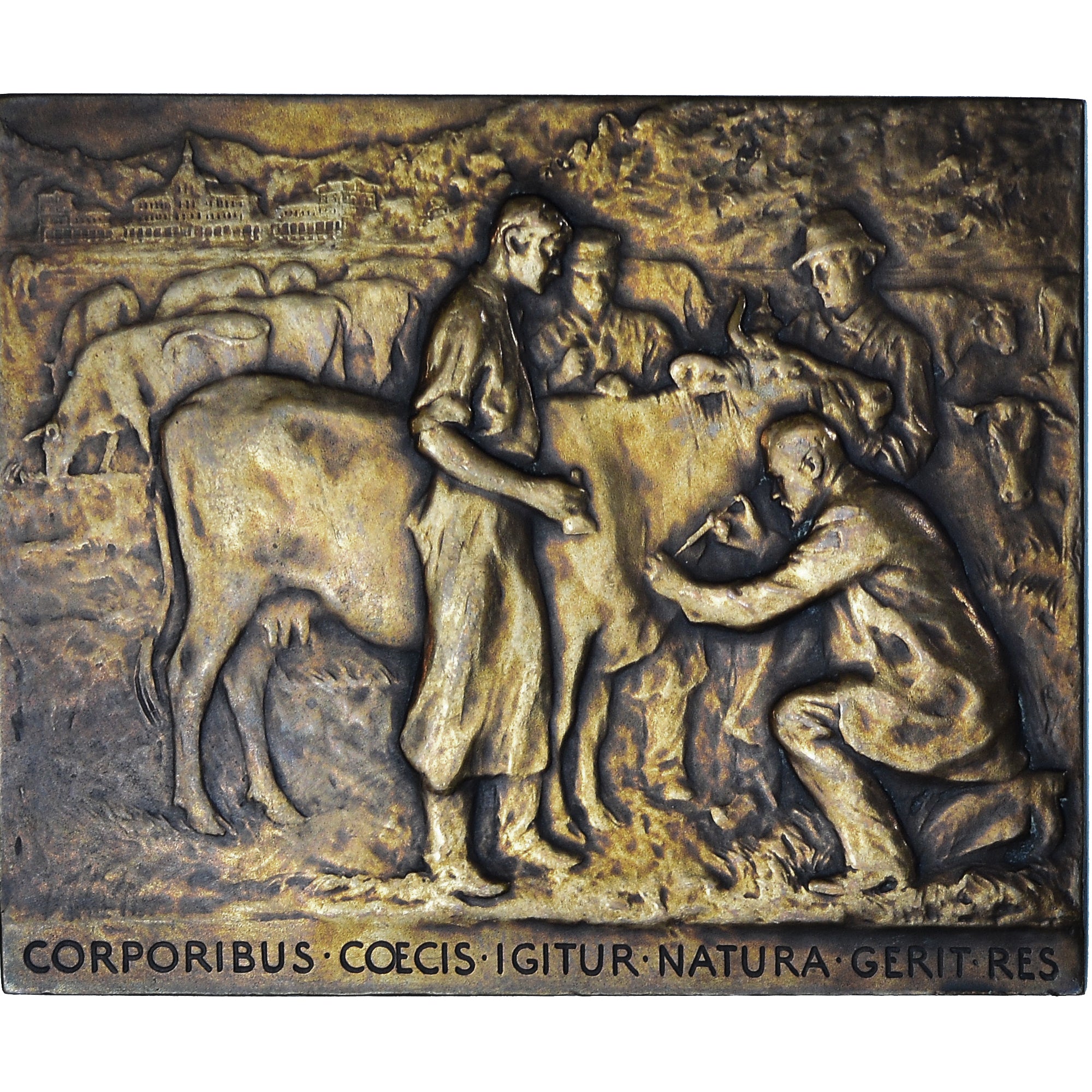 France, Médaille, Medicine, S Arloing - Ecole Nationale Vétérinaire de Lyon