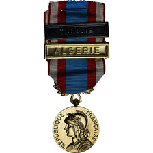 France, Opérations de Sécurité et Maintien de l'ordre, Algérie, Medal