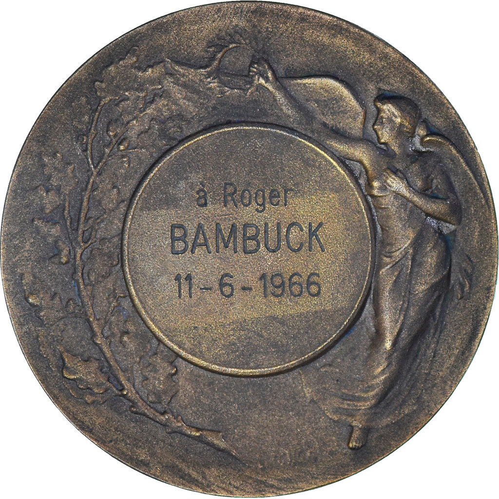 Francia, medaglia, Ville d'Anzin, 1966, SPL-, Bronzo