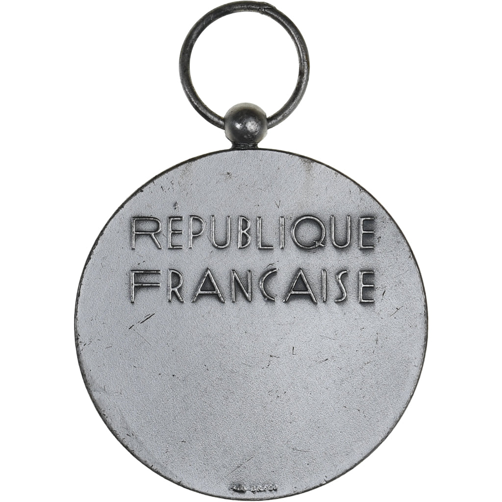 Frankreich, Famille Française, Medaille, Excellent Quality, Silvered bronze, 33