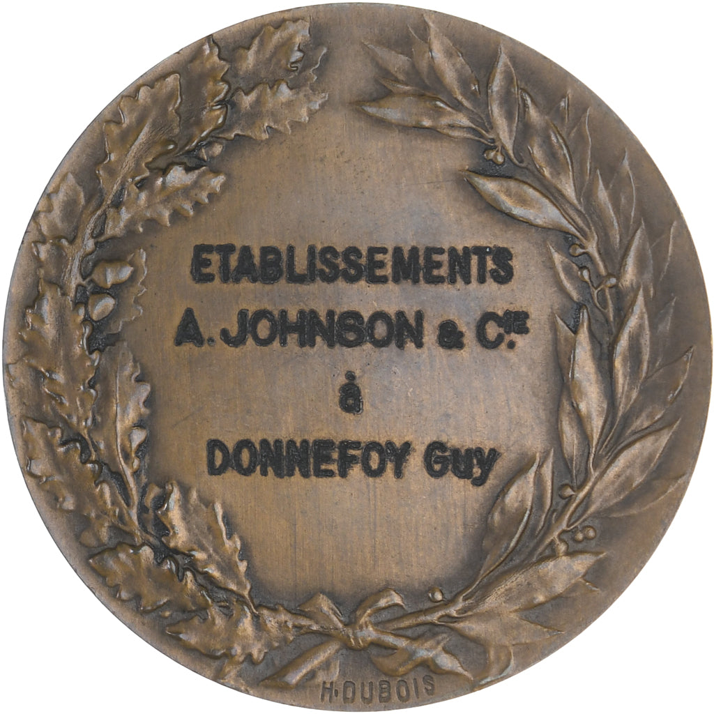 Frankreich, Medaille, Etablissements johnson, Business & industry, VZ, Bronze