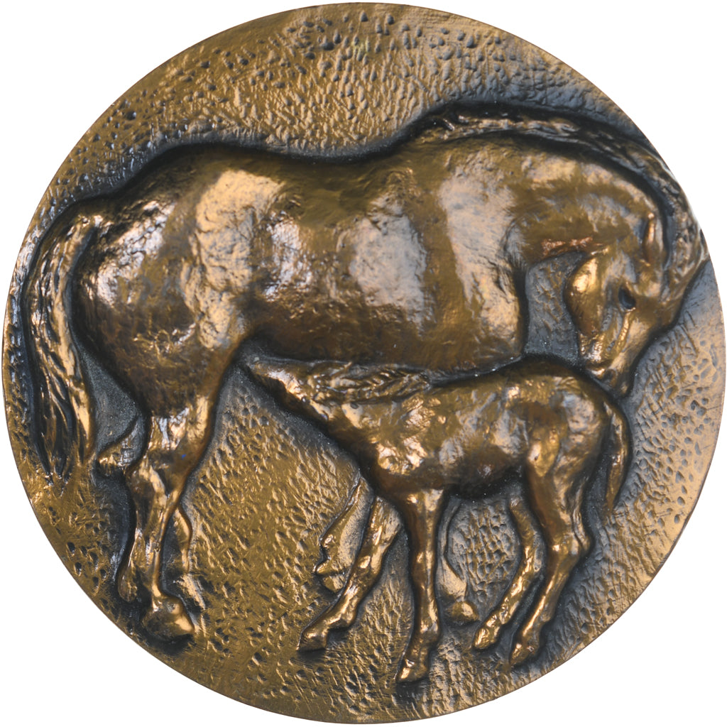 Frankrijk, Medaille, Horse, Fauna, 1975, Luzanowsky, UNC-, Bronzen