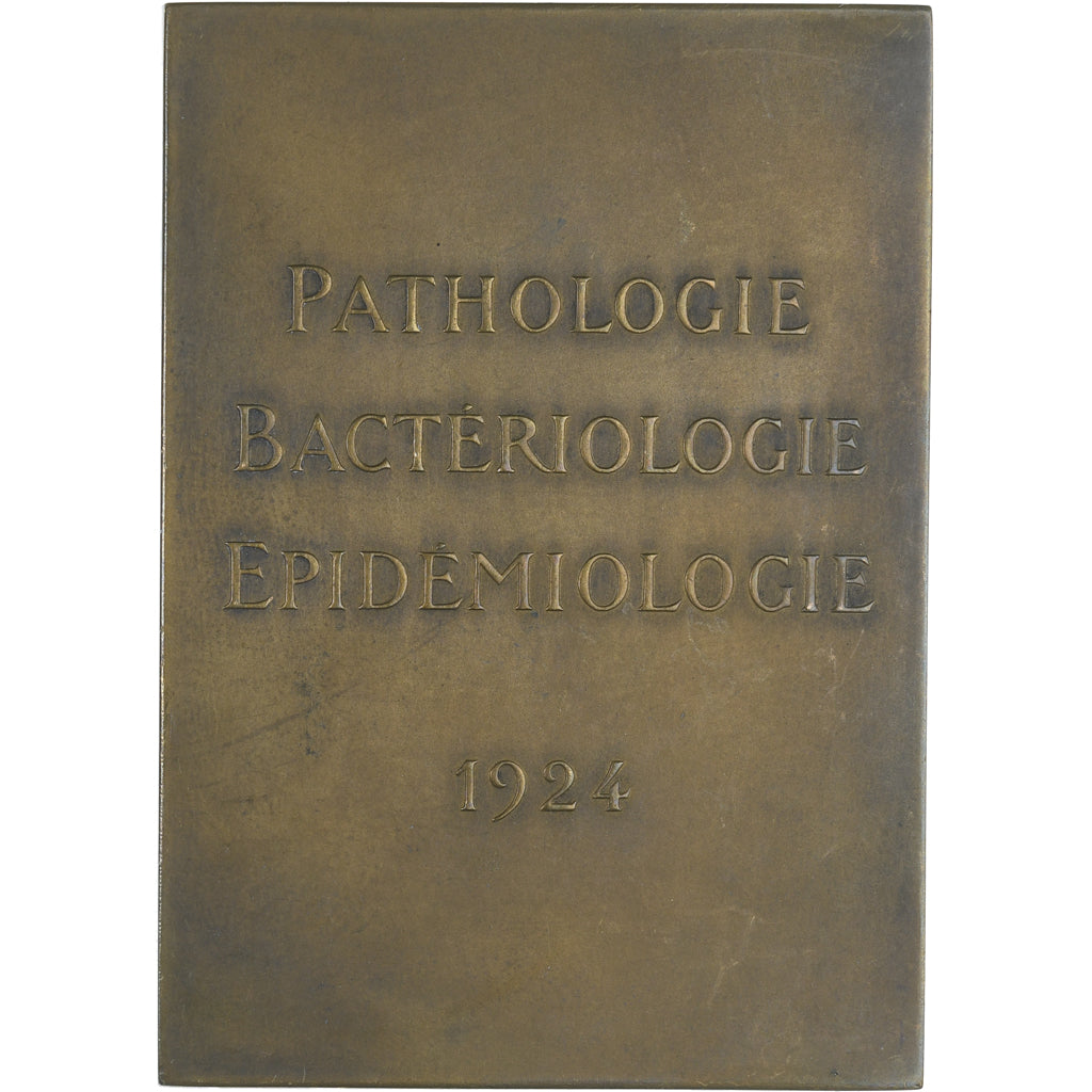 Frankreich, Medaille, Professeur Leclainche, Membre de l'Institut, 1924, VZ+