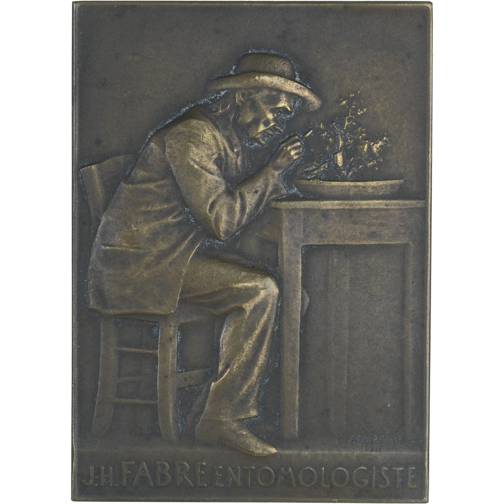 Francia, medaglia, J.H Fabre, Entomologiste, 1911, Patriarche, SPL, Bronzo