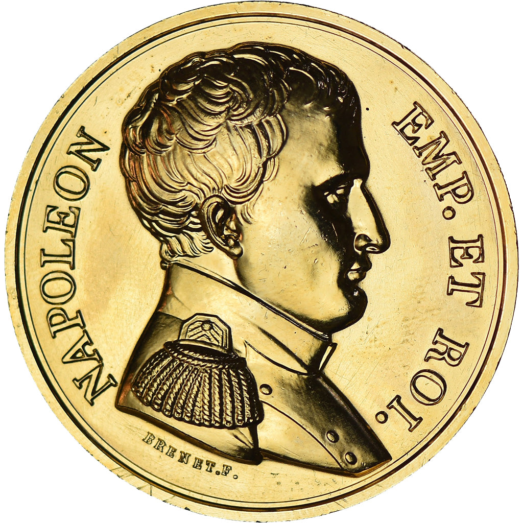 Francia, medaglia, Napoléon Empereur et Roi, History, Denon, Restrike, SPL
