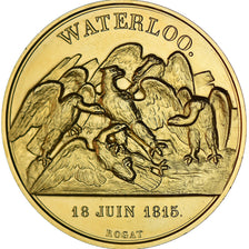 France, Médaille, Napoléon Ier, Bataille de Waterloo (1815), History, Denon