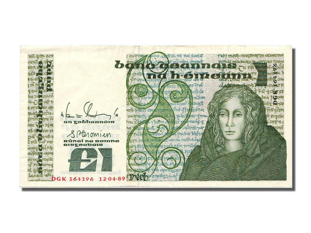 Ireland - Republic, 1 Pound, 1989, KM #70d, AU(55-58), DGK