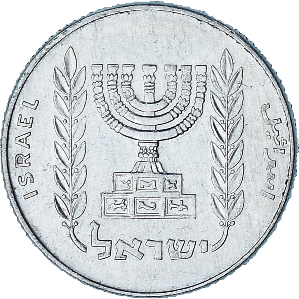 Israël, 5 New Agorot, Undated, Aluminium, TTB