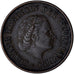 Holandia, Juliana, 5 Cents, 1955, Brązowy, AU(50-53), KM:181