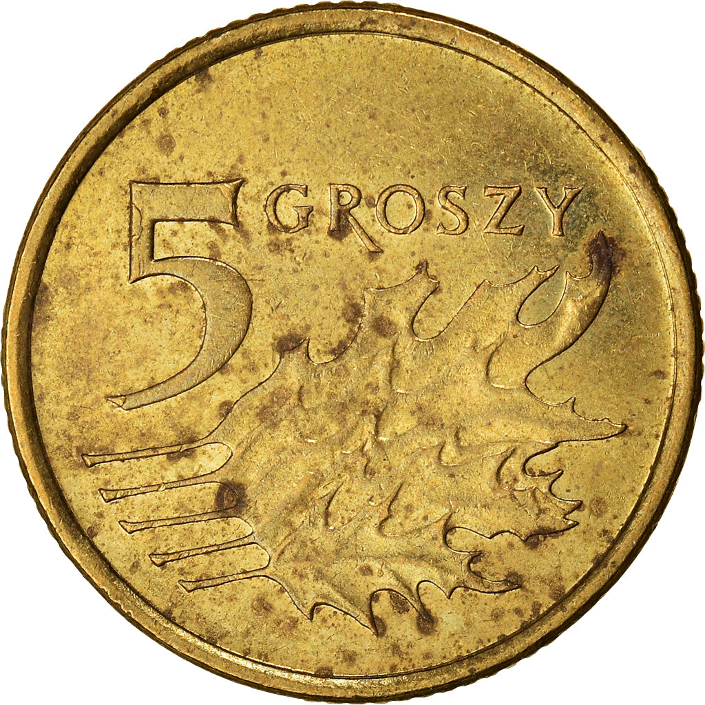 Moneta, Polonia, 5 Groszy, 2013, Warsaw, MB, Ottone, KM:278