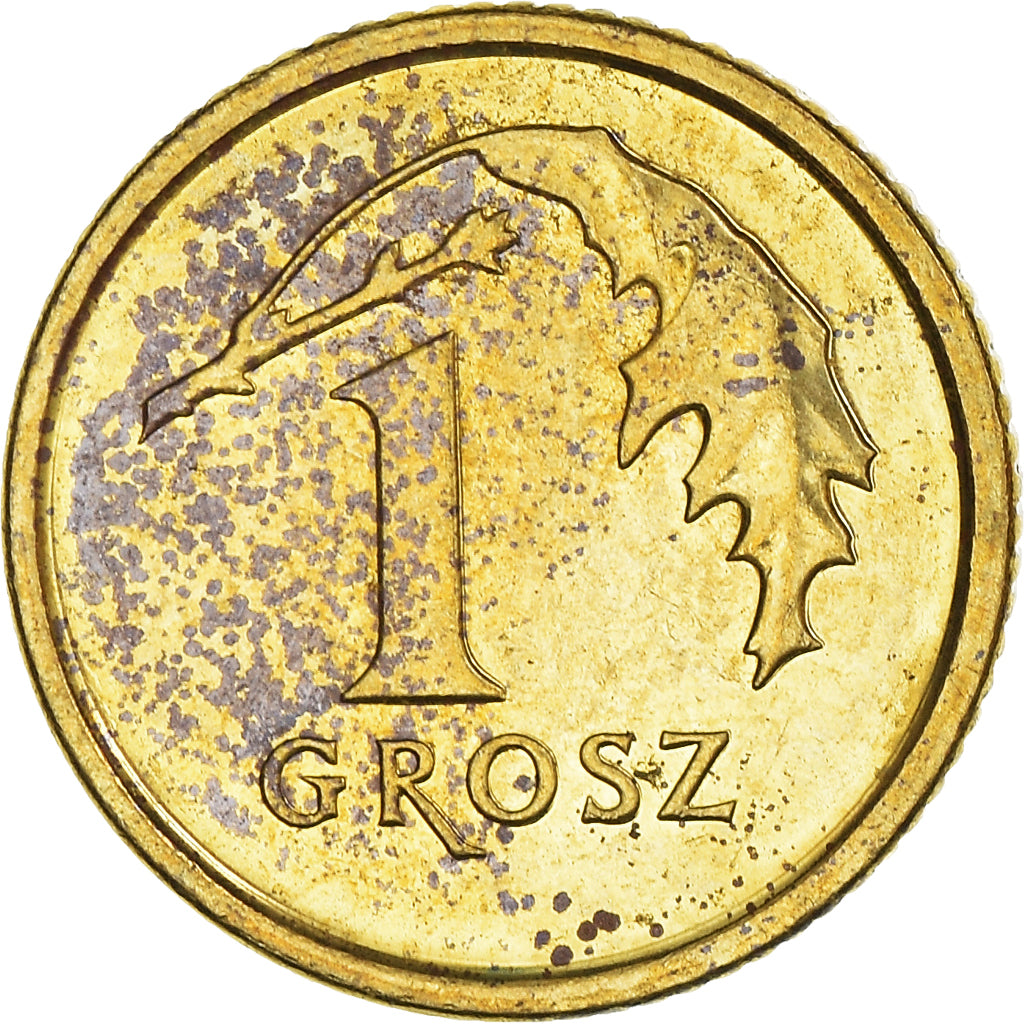 Coin, Poland, Grosz, 2015, EF(40-45), Brass