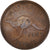 Moneta, Australia, George VI, Penny, 1952, MB, Bronzo, KM:43