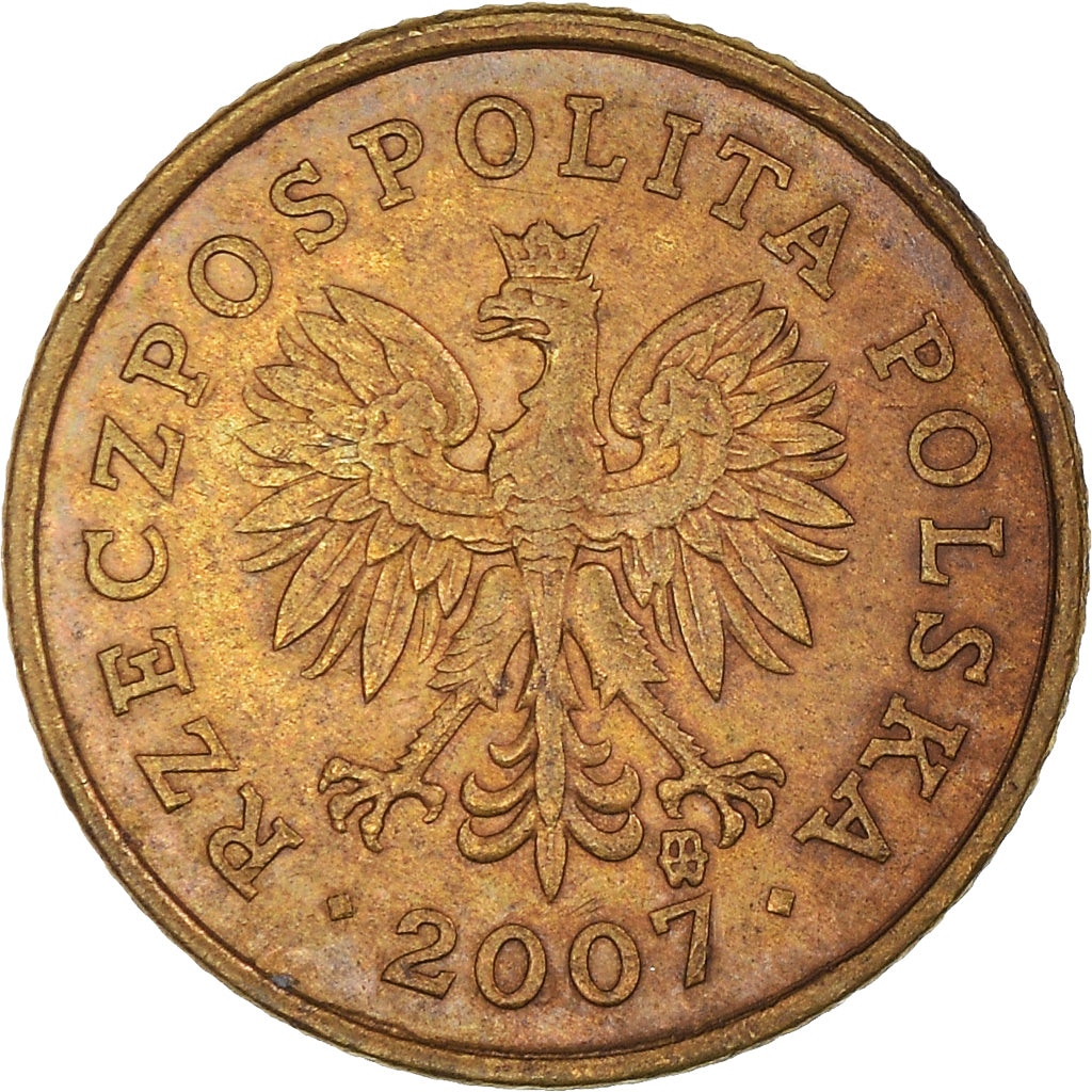 Moneta, Polonia, Grosz, 2007, Warsaw, MB+, Ottone, KM:276