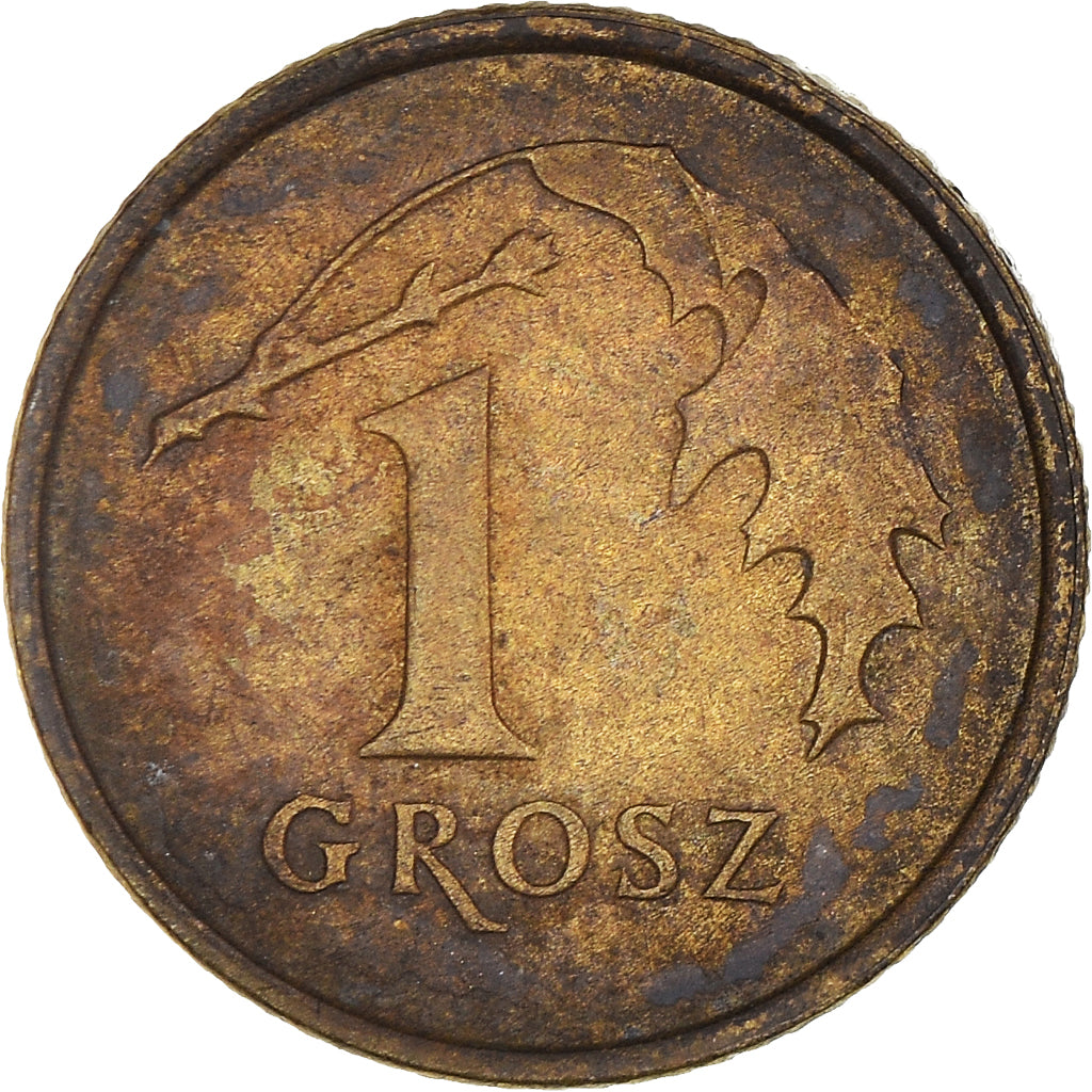 Moneta, Polonia, Grosz, 2007, Warsaw, MB+, Ottone, KM:276