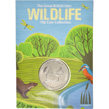 Coin, Guernsey, Red Squirrel, 10 Pence, 2021, FDC, MS(65-70), Acier plaqué