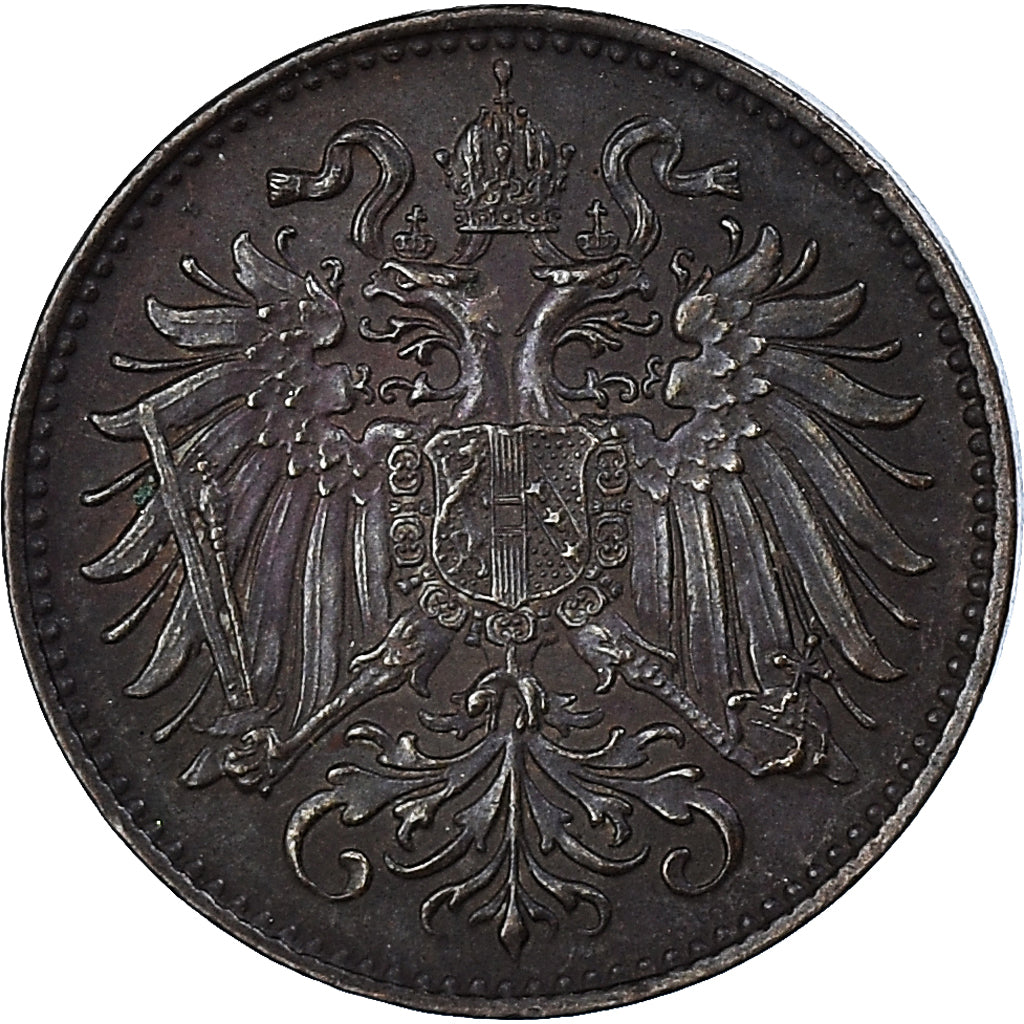 Moneta, Austria, Franz Joseph I, 2 Heller, 1893, BB, Bronzo, KM:2801