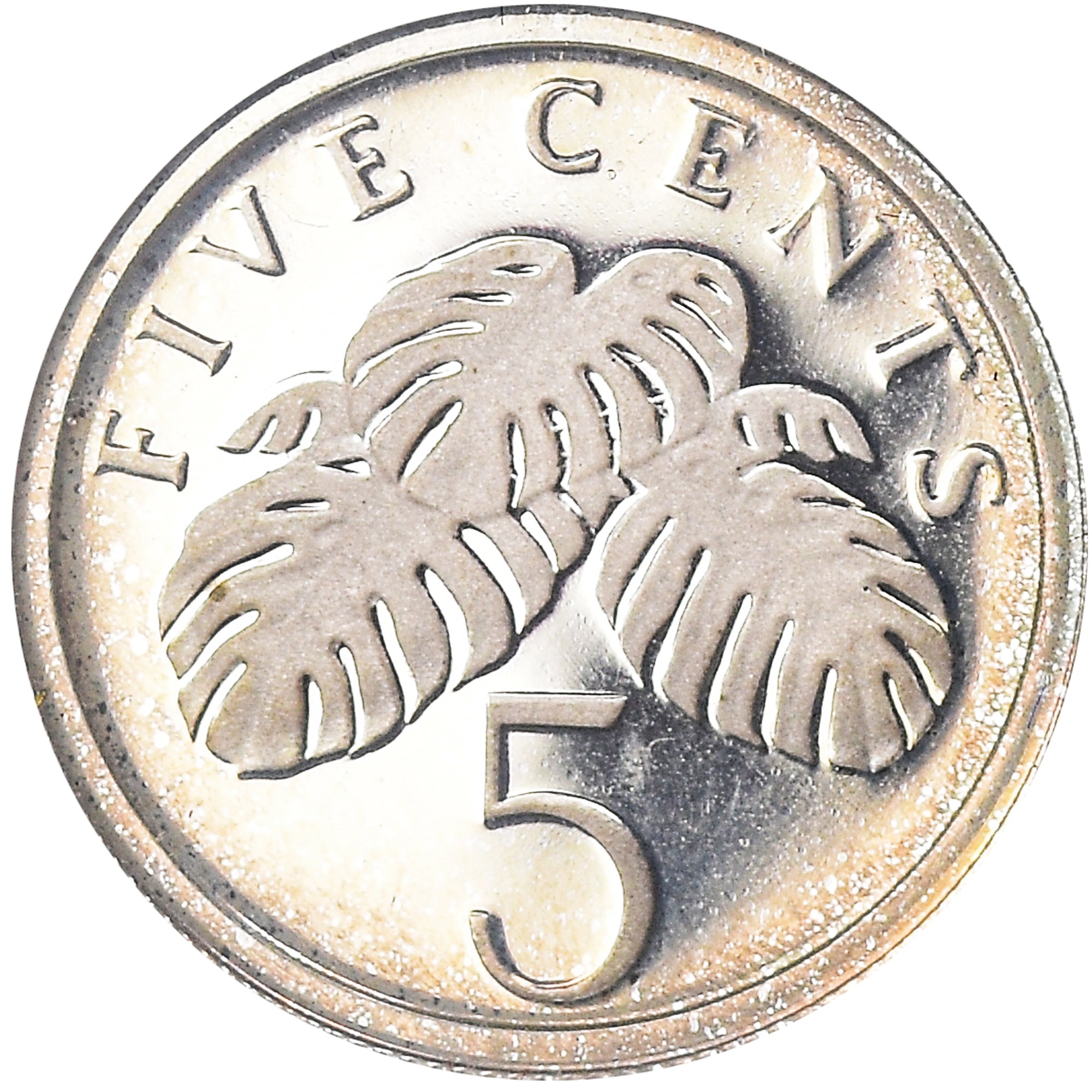 Coin, Singapore, 5 Cents, 1988, Singapore Mint, BE, MS(65-70), Silver, KM:50a