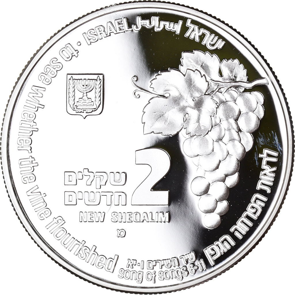 Coin, Israel, Fox and vineyard, 2 New Sheqalim, 1995, Vantaa, Finland, FDC.BE