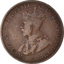 Coin, Australia, George V, 1/2 Penny, 1926, EF(40-45), Bronze, KM:22