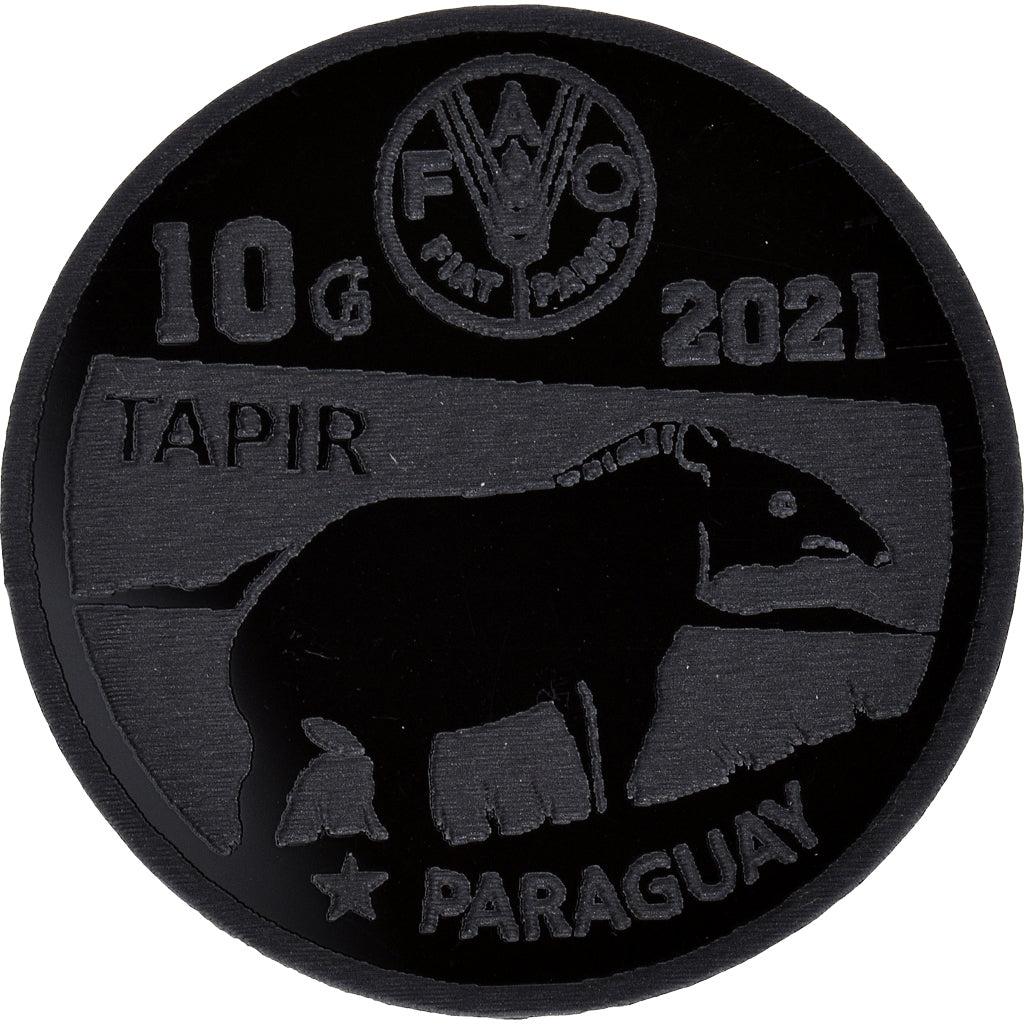 Monnaie, Paraguay, 10 Guaranies, 2021, Fantasy items. Colorized.Mercosur, SPL