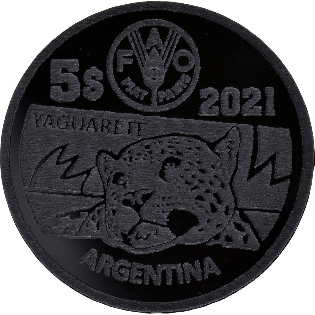 Moneda, Argentina, 5 Pesos, 2021, Monnaie de fantaisie .Colorized.