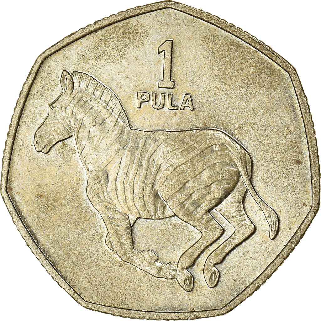 Moneda, Botsuana, Pula, 1991, British Royal Mint, MBC, Níquel - latón, KM:24