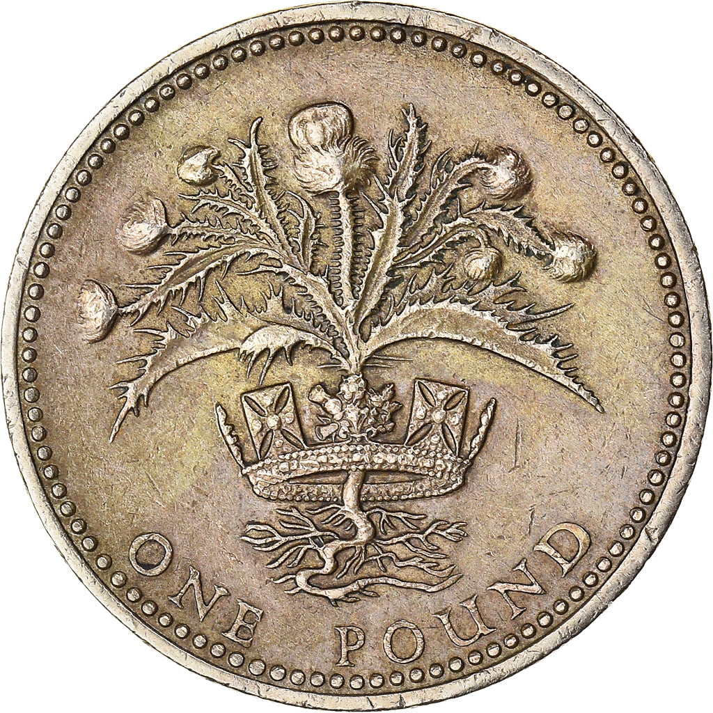 Moneta, Gran Bretagna, Elizabeth II, Pound, 1984, British Royal Mint, BB