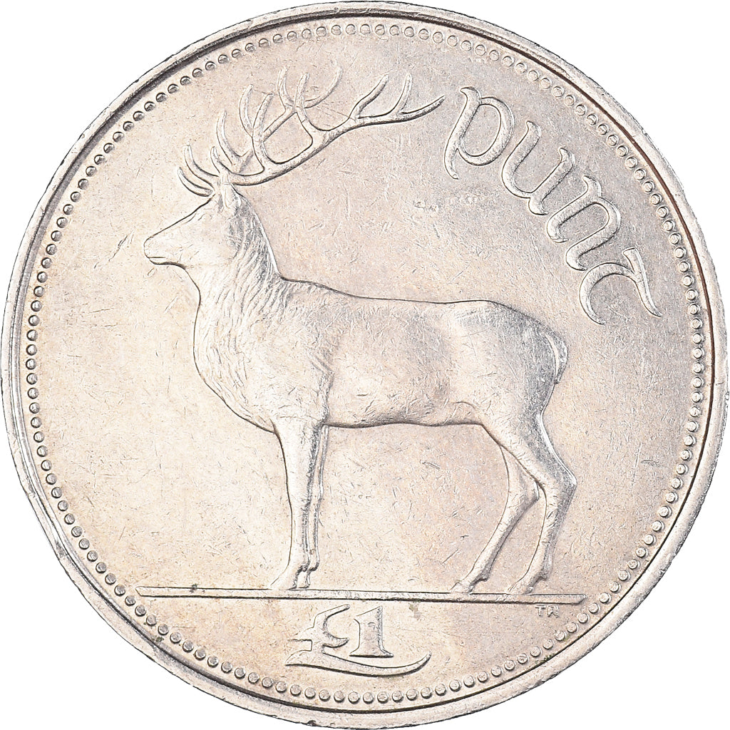Coin, IRELAND REPUBLIC, Punt, Pound, 1994, EF(40-45), Copper-nickel, KM:27