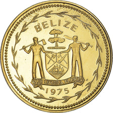 Coin, Belize, 5 Cents, 1975, Franklin Mint, Proof, MS(65-70), Nickel-brass