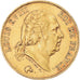 Monnaie, France, Louis XVIII, 40 Francs, 1824, Paris, TTB, Or, Gadoury:1092