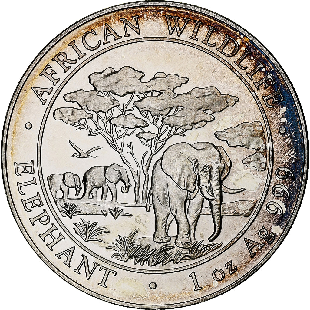 Somália, 100 Shillings, 2012, 1 Oz, Prata, MS(63)