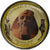 Egito, Token, Trésors des Pharaons, Colossal Bust of Ramses II, 2010/AH1431