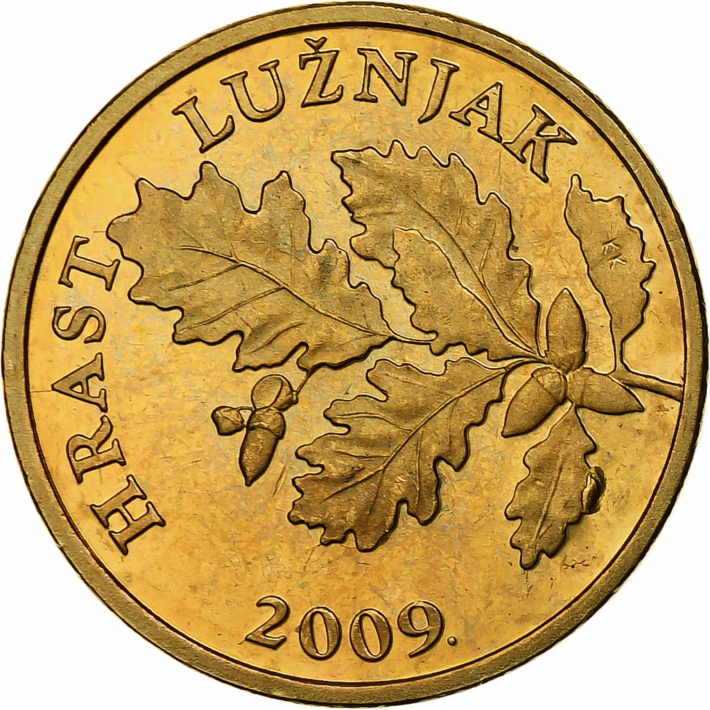 Chorwacja, 5 Lipa, 2009, Mosiądz platerowany stalą, MS(65-70), KM:5