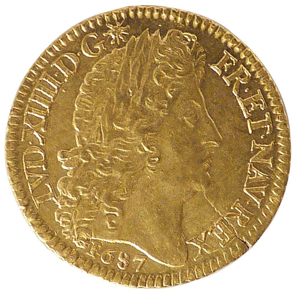 Louis XIV, Louis d'or à la Perruque