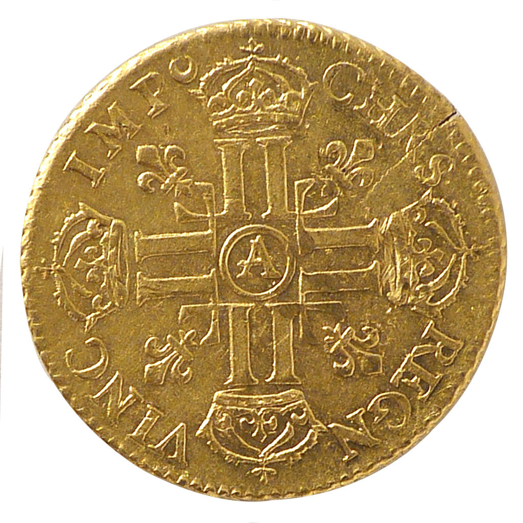 Louis XIV, Louis d'or à la Perruque