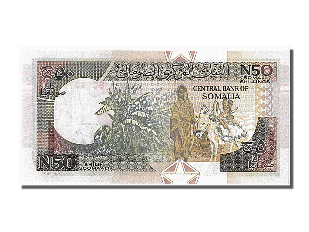 Billet, Somalie, 50 N Shilin = 50 N Shillings, 1991, NEUF