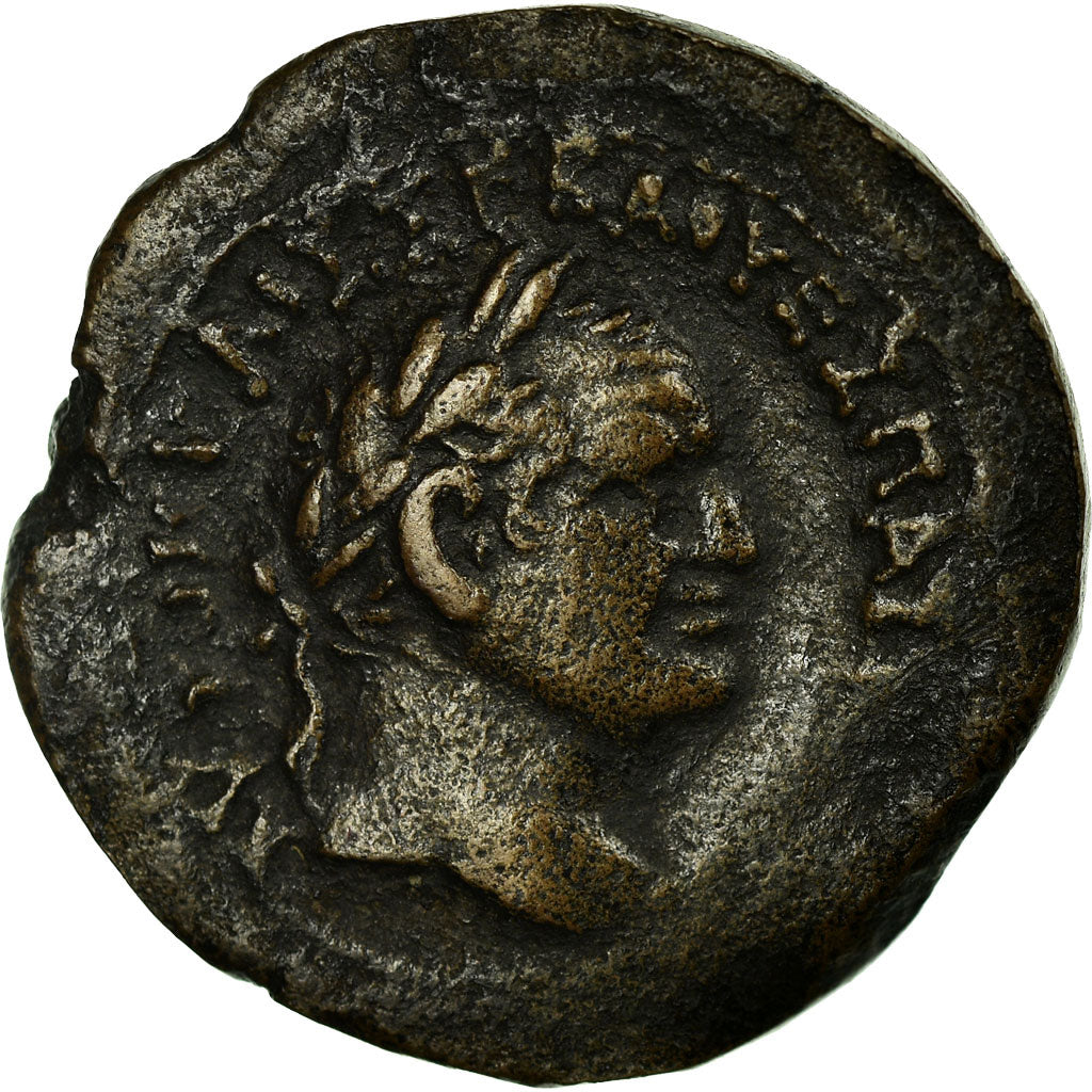 Egipt, Vespasian, Æ Unit, 73-74, Alexandria, Brązowy, EF(40-45), RPC:II, 2441
