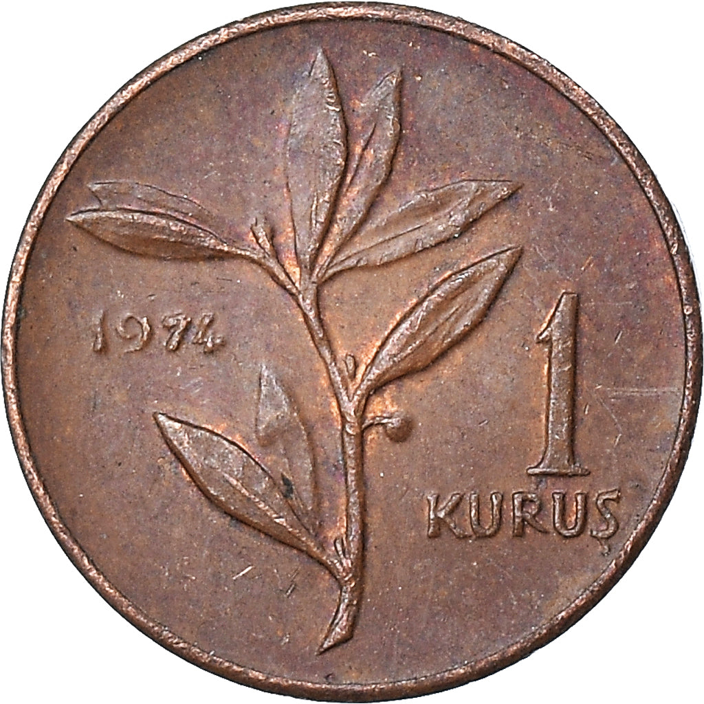 Moneta, Turcja, Kurus, 1974