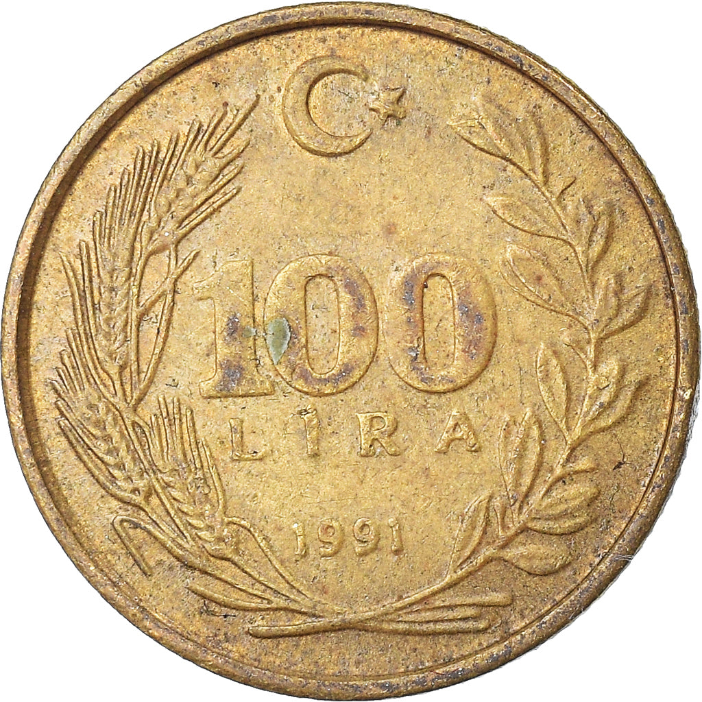 Moneta, Turchia, 100 Lira, 1991