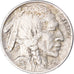 Coin, United States, 5 Cents, 1917