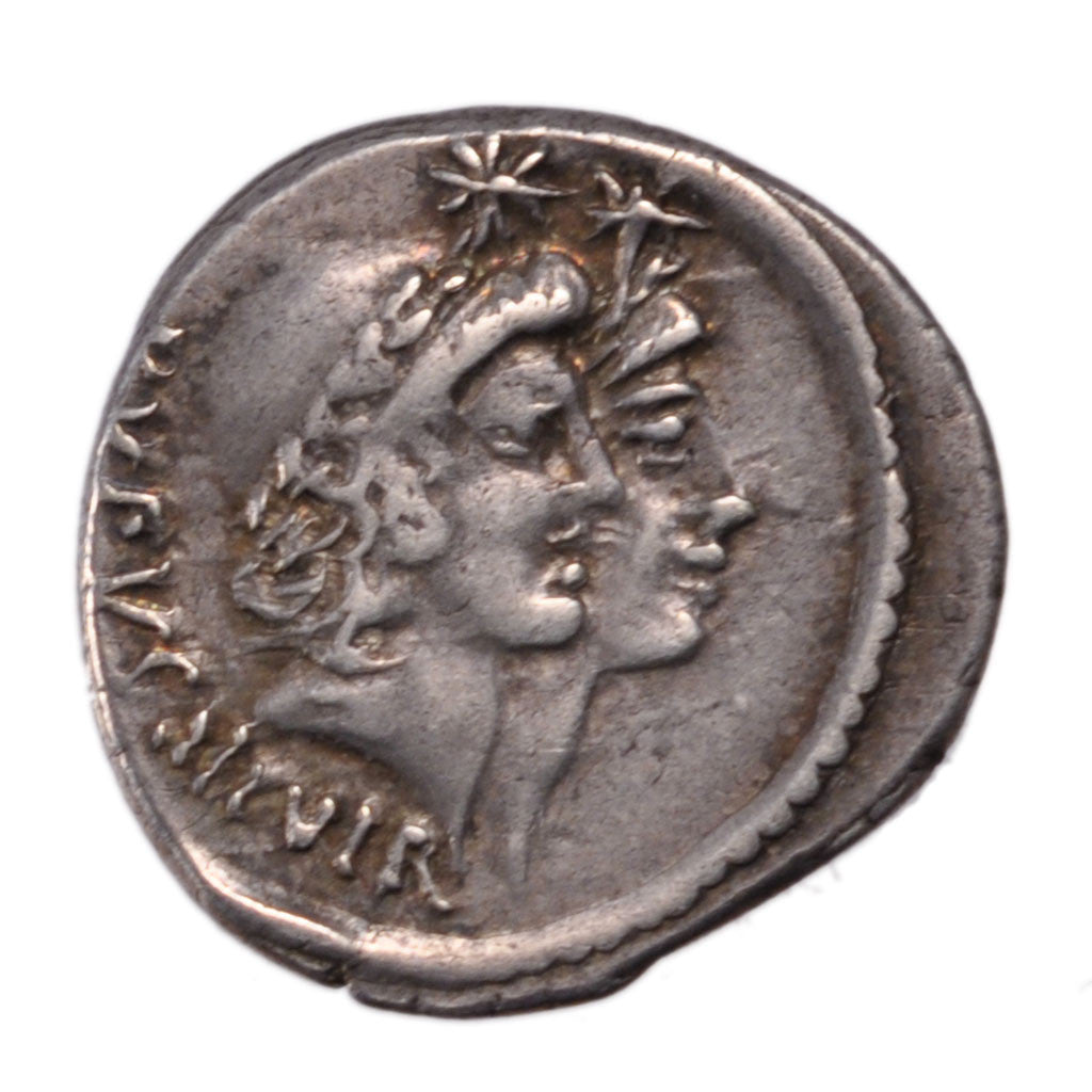 Cordia, Denarius, AU(50-53), Silver, Babelon #1, 3.80