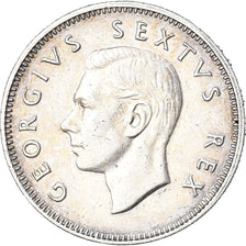 Coin, South Africa, George VI, Shilling, 1950, AU(50-53), Silver, KM:37.1