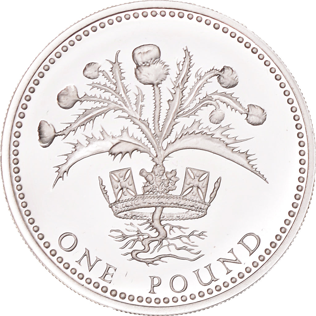 Coin, Great Britain, Elizabeth II, Pound, 1989, British Royal Mint, MS(65-70)