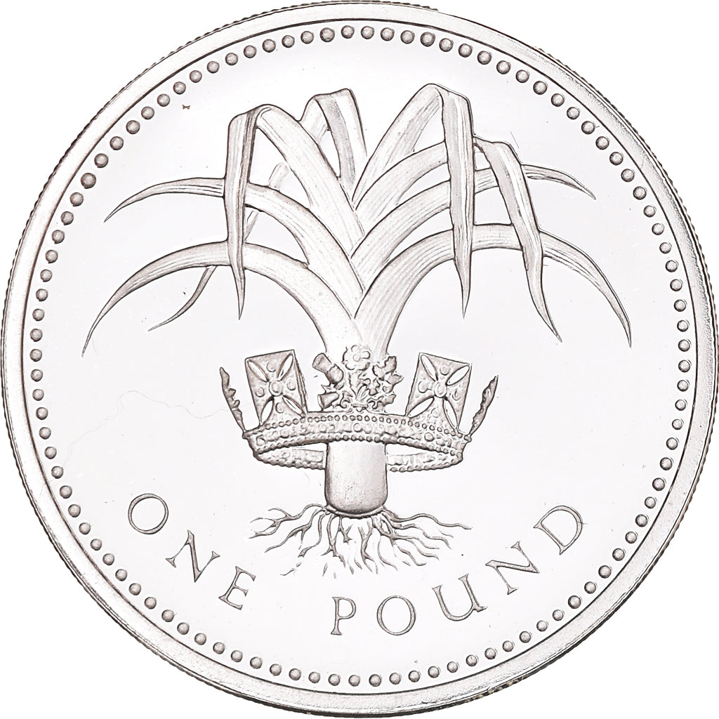 Coin, Great Britain, Elizabeth II, Pound, 1985, British Royal Mint, MS(65-70)