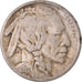 Coin, United States, Buffalo Nickel, 5 Cents, 1913-D, U.S. Mint, Denver