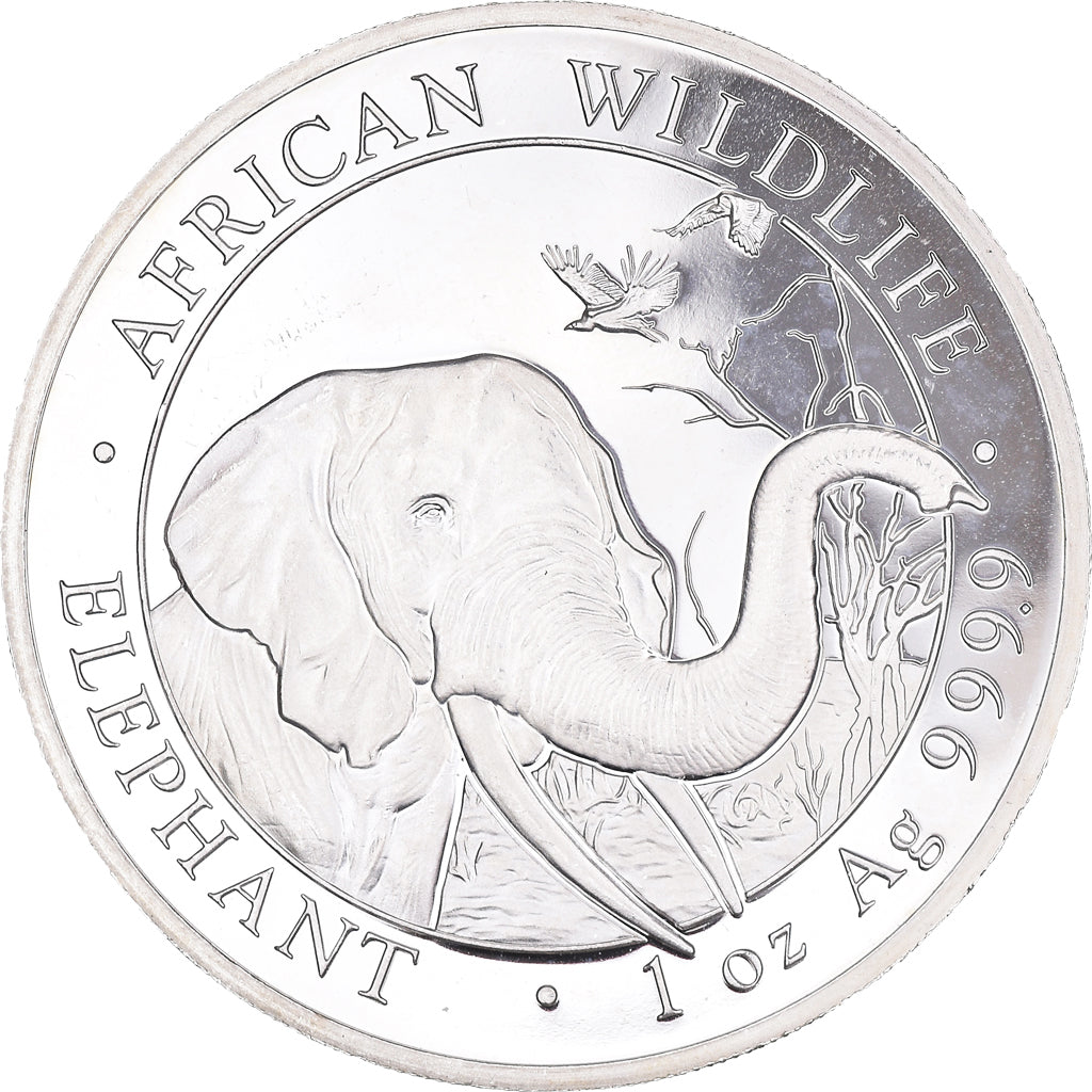 Coin, Somalia, African Wildlife, Elephant, 1 oz, 100 Shillings, 2018, MS(60-62)
